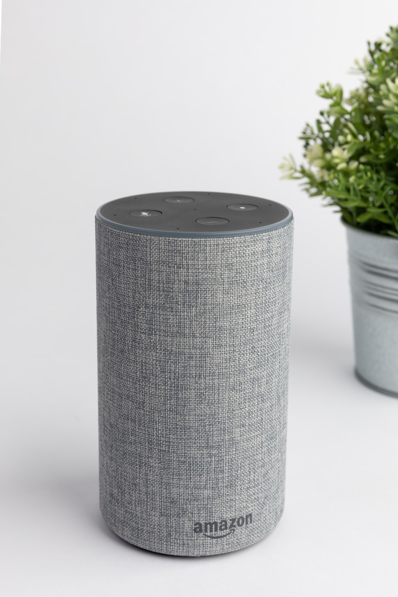 Smart Speaker